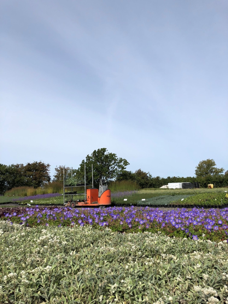 Klimaatverandering, de economische neergang en hoe we jongeren kunnen interesseren om te investeren in de kwekerijsector zijn de belangrijkste onderwerpen in Zweden.