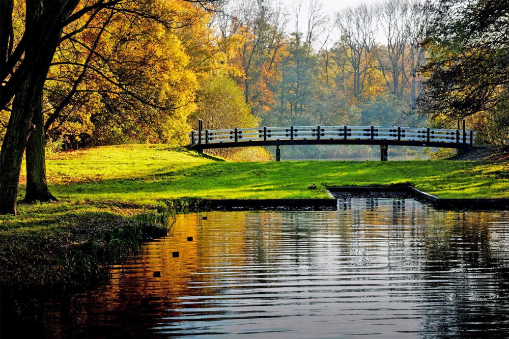 Het Amsterdamse Bos