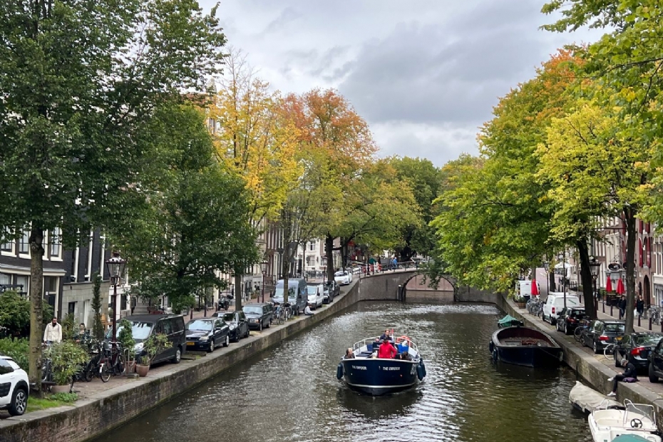 Stadsgroen langs de Amsterdams grachten