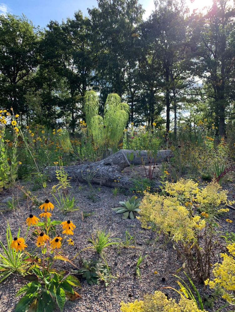 Beauty, play and biological values combined in Hjälmarsviksparken.