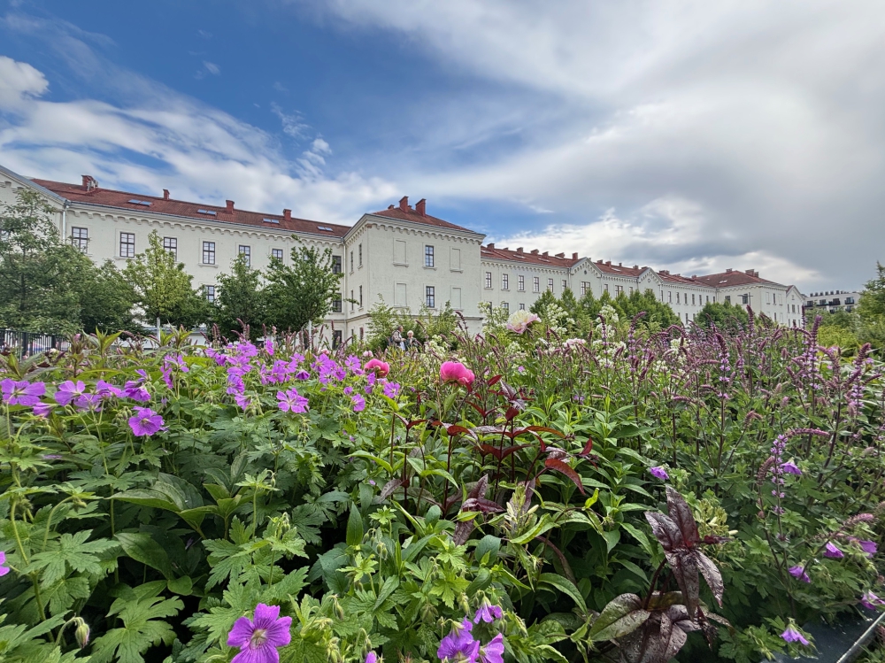1. The Wisława Szymborska Park in Kraków (here in Spring of 2025) is adjacent to the library building from 19th century.