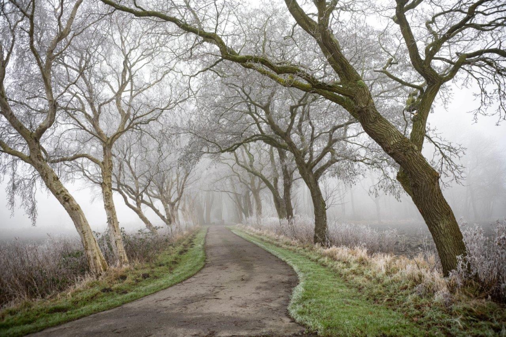 First place went to a winter photo by Uwe Fröbel: an avenue of birch, oak and alder trees in the Leybuchtpolder shows how nature can unfold in harmonious form.