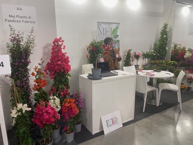 One of the affiliated members is Mej Plants from Terracina, a company that exports and imports plants.