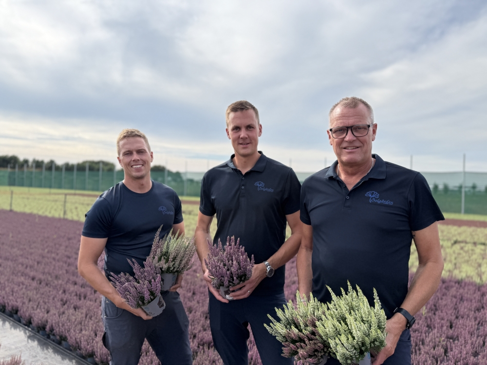 Alexander, Jens and Håkan Wallin (Photo: Cecilia Karlsson)